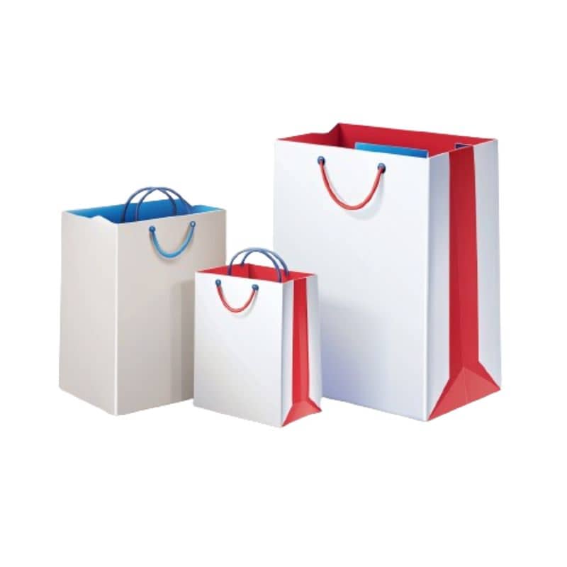 Customized Shopping/Gift Paper Bags