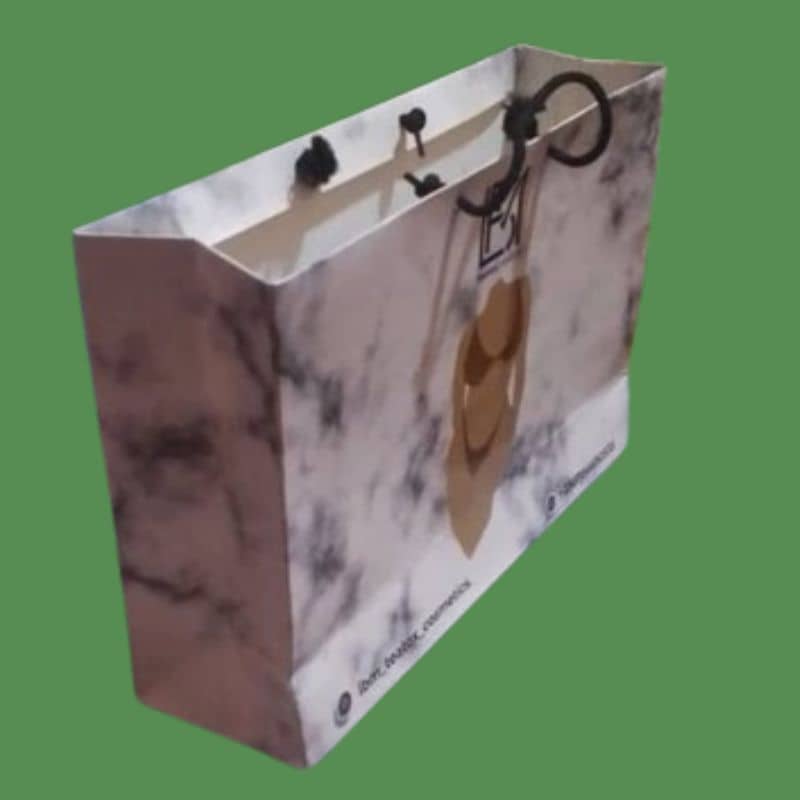 Customized Shopping/Gift Paper Bags