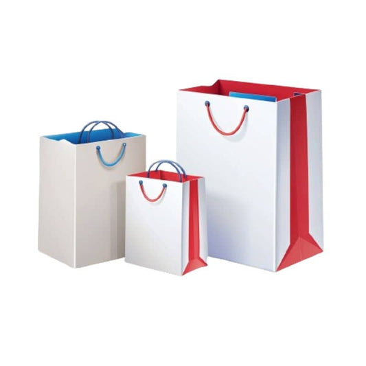 Customized Shopping/Gift Paper Bags 