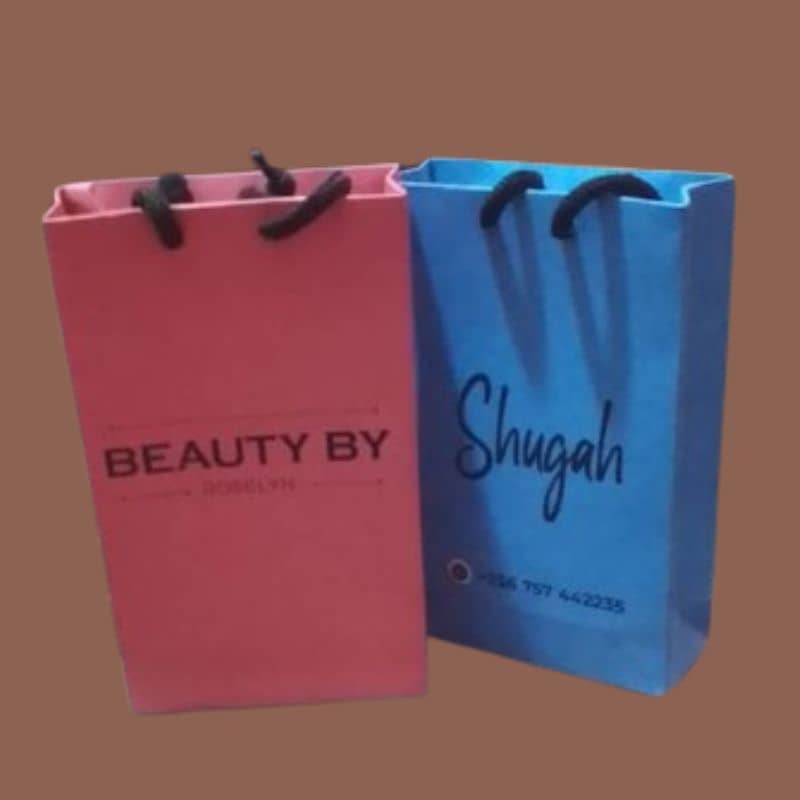 Customized Shopping/Gift Paper Bags 